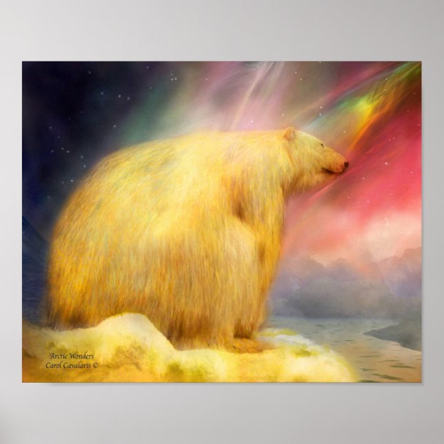 Arctic Wonders Art Poster/Print Poster (Front)
