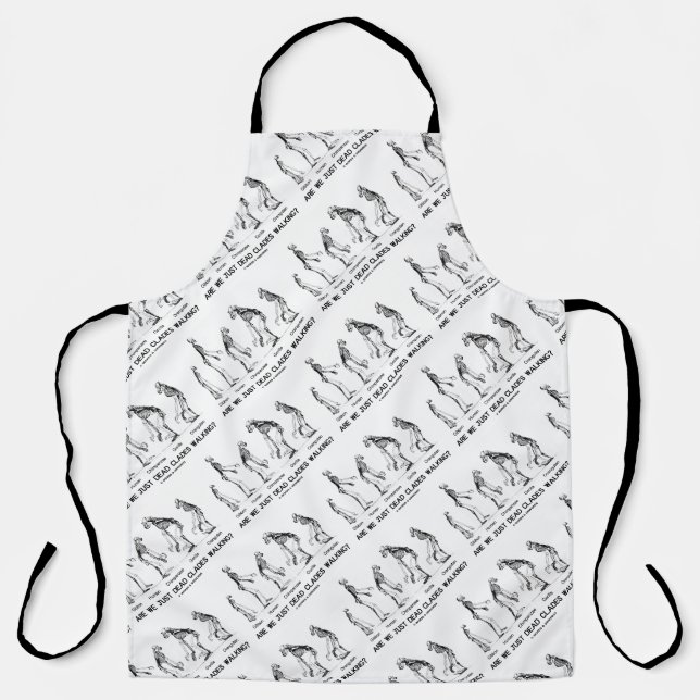 Are We Just Dead Clades Walking? Homonid Evolution Apron (Front)