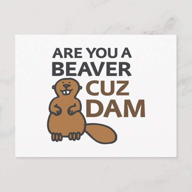 Are You A Beaver Cuz Dam Postcard (Front)