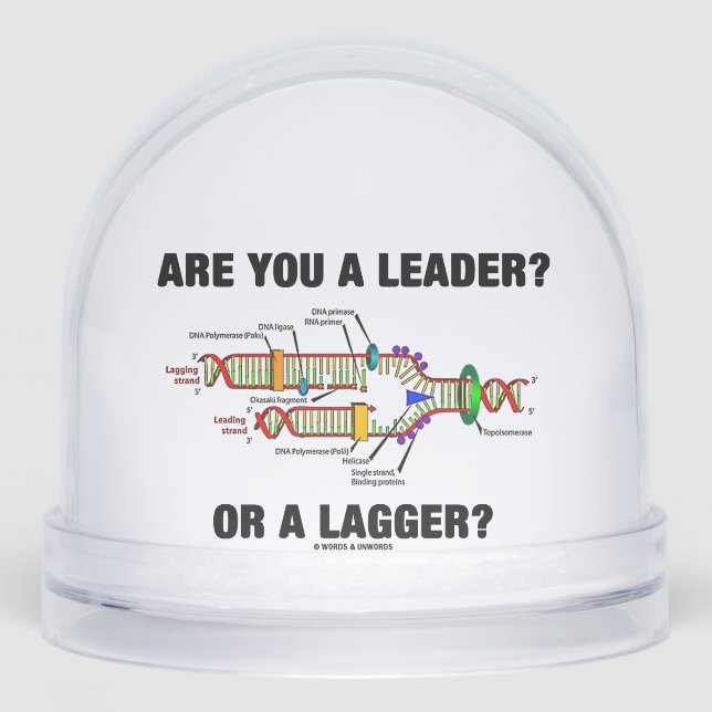 Are You A Leader? Or A Lagger? DNA Replication Snowglobe (Front)