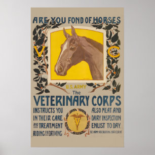 Are You Fond of Horses US Army Veterinary Medicine Poster