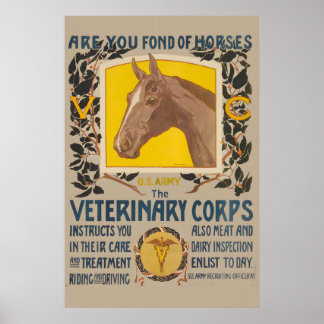 Are You Fond of Horses US Army Veterinary Medicine Poster