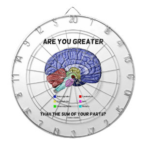 Are You Greater Than The Sum Of Your Parts? Brain Dartboard