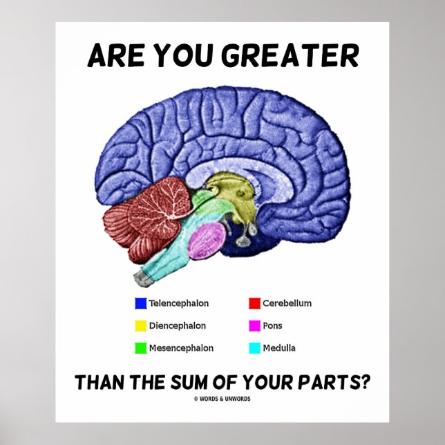 Are You Greater Than The Sum Of Your Parts? Brain Poster (Front)