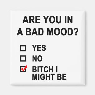 Are You In A Bad Mood? Magnet
