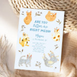 Are You Kitten Me Cat Boy Birthday  Invitation<br><div class="desc">Fun cat themed birthday party invitation featuring illustration of cute cats with party hats and blue flowers. The text says "are you kitten me right meow."</div>