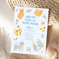 Are You Kitten Me Cat Boy Birthday 