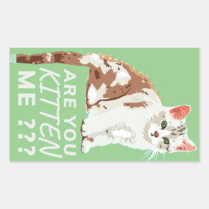 "ARE YOU KITTEN ME" funny cute cat    Sticker