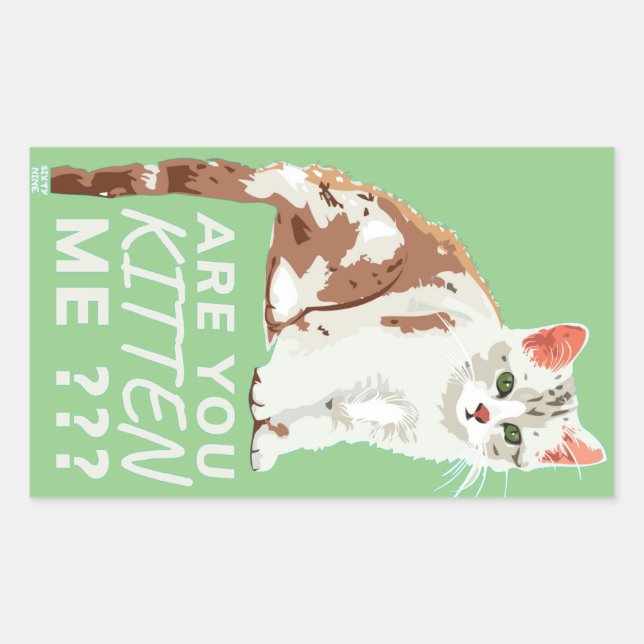 "ARE YOU KITTEN ME" funny cute cat    Sticker (Front)