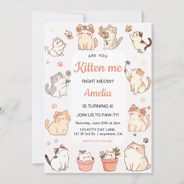 Are you Kitten me Kitty Girl Birthday Invitation (Front)