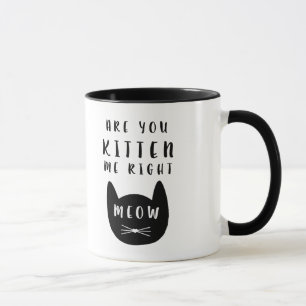 Are you Kitten me right Meow? Mug
