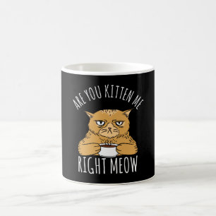 Are You Kitten Me Right Meow Pun Coffee Mug