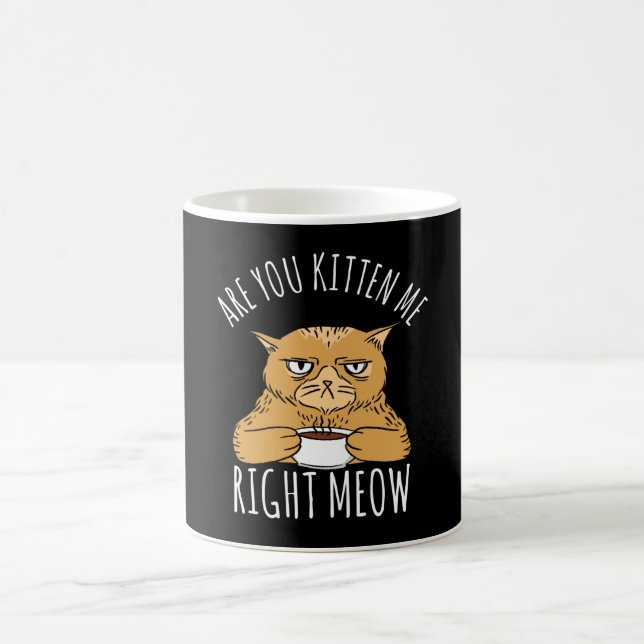 Are You Kitten Me Right Meow Pun Coffee Mug (Center)