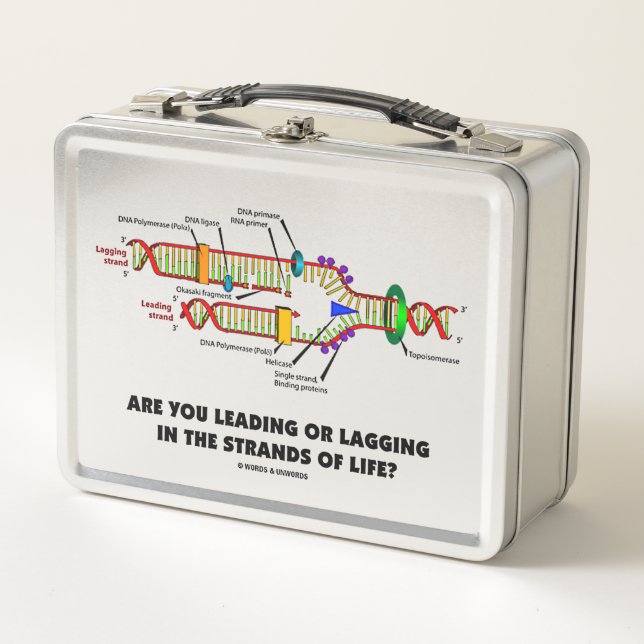 Are You Leading Or Lagging In The Strands Of Life? Metal Lunch Box (Front)