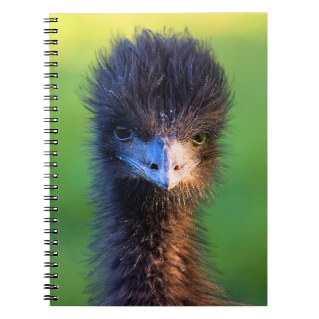 Are You Looking at Me?  - Ostrich Notebook (Front)