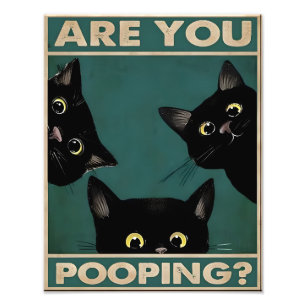 Are You Pooping Funny Cat Bathroom Wall Sign Print