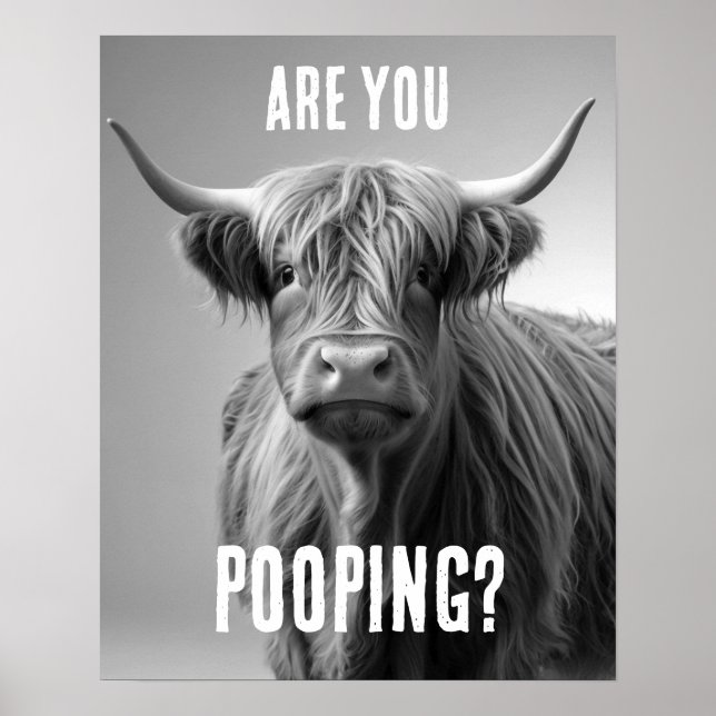 Are you Pooping Highland Cow Toilet Humour Bathroo Poster (Front)