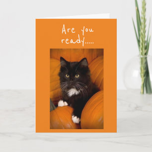 **ARE YOU READY TO CELEBRATE*** HALLOWEEN CARD