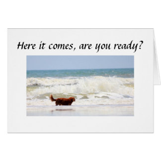 ARE "YOU" READY TO TURN ****50****