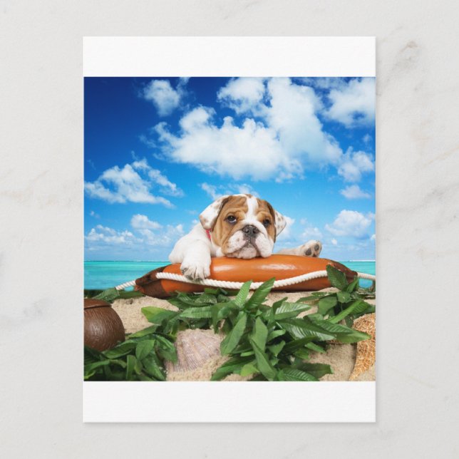 Are you serious? postcard (Front)