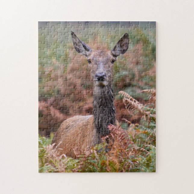 Are You Talking to Me? - 11x14 - 252 pieces Jigsaw Puzzle (Vertical)