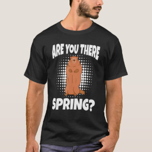 Are You There Spring Happy Groundhog Day Woodchuck T-Shirt
