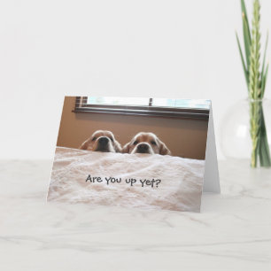 Are You Up Yet? Golden Retriever Greeting Card