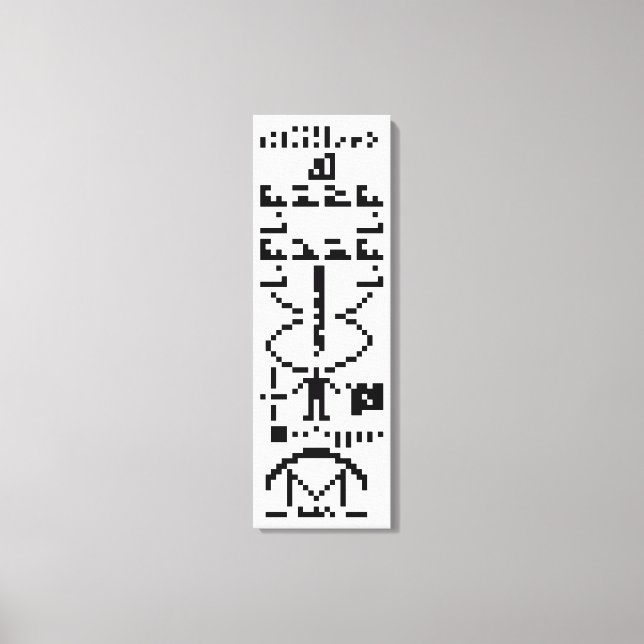 Arecibo Binary Message 1974 Canvas Print (Front)