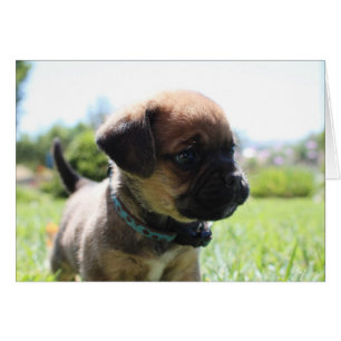 Aren't I cute