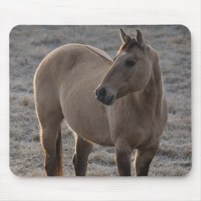 Aren't I Pretty Mousepad (Front)