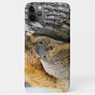 Aren't you coming? iPhone 11 pro max case