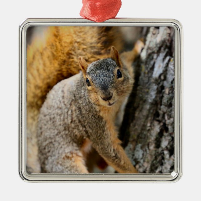 Aren't youcoming? metal ornament (Front)