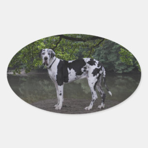 Ares Aufkleber Oval Sticker