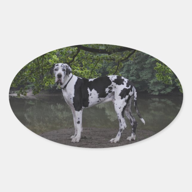 Ares Aufkleber Oval Sticker (Front)