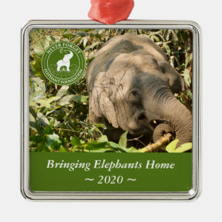 Argenté Ornement Carré NFEF