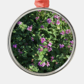 Argenté Ornement rond