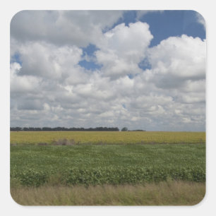 Argentina, Buenos Aires, San Antonio de Areco. Square Sticker