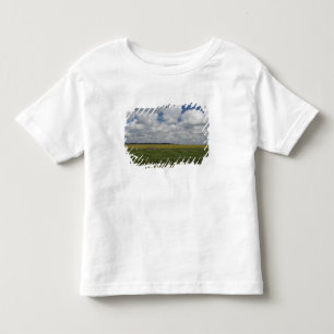 Argentina, Buenos Aires, San Antonio de Areco. Toddler T-shirt