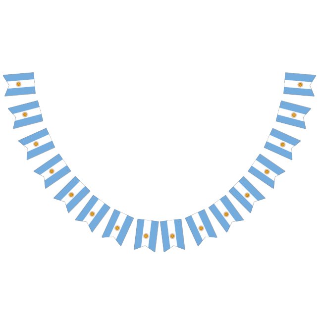 Argentina flag bunting banner (All)