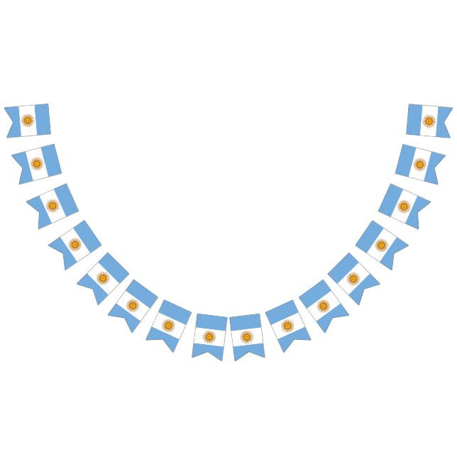Argentina Flag Party (All)