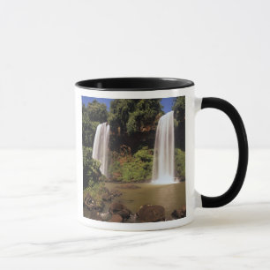 Argentina, Igwazu, Igwazu falls. Salto Dos Mug