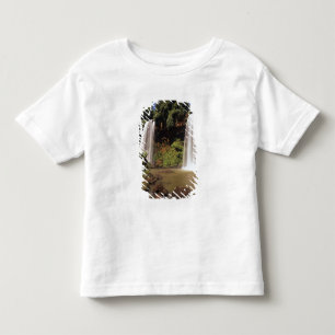 Argentina, Igwazu, Igwazu falls. Salto Dos Toddler T-shirt