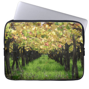 Argentina, Mendoza, Row Of Grape In Vineyard Laptop Sleeve