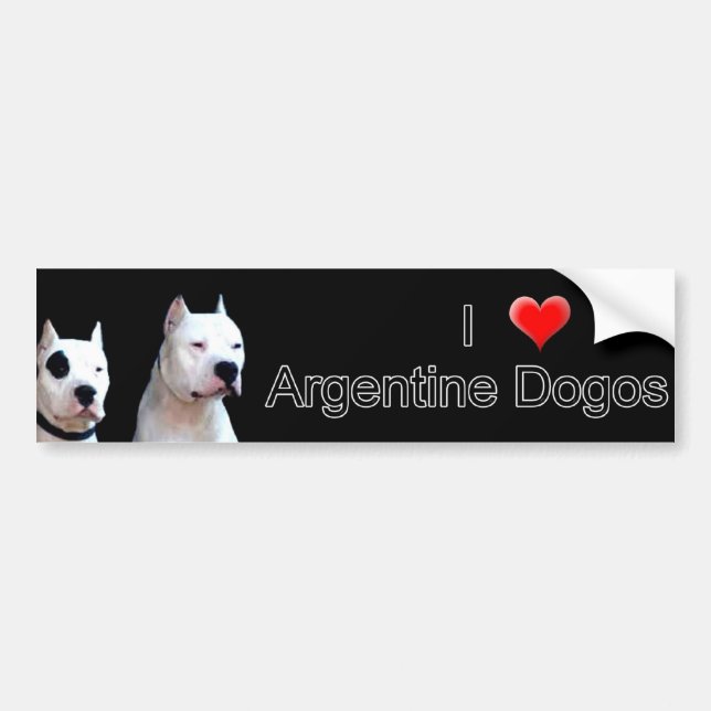 Argentine Dogo Bumper sticker (Front)