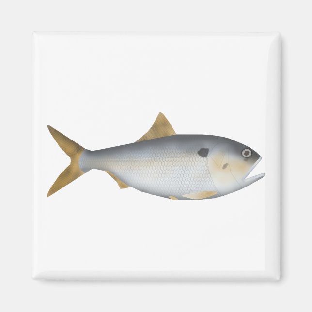 Argentine Menhaden Magnet (Front)