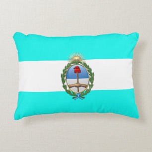 Argentinian flag accent pillow
