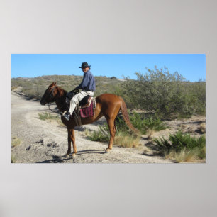 Argentinian Gaucho Poster