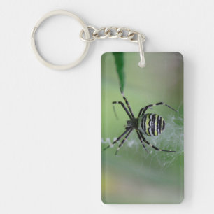 Argiope bruennichi keychain