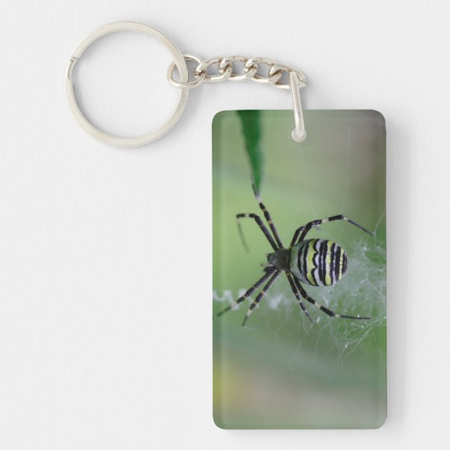 Argiope bruennichi keychain (Front)