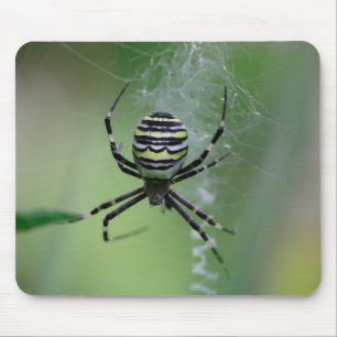 Argiope bruennichi mouse pad